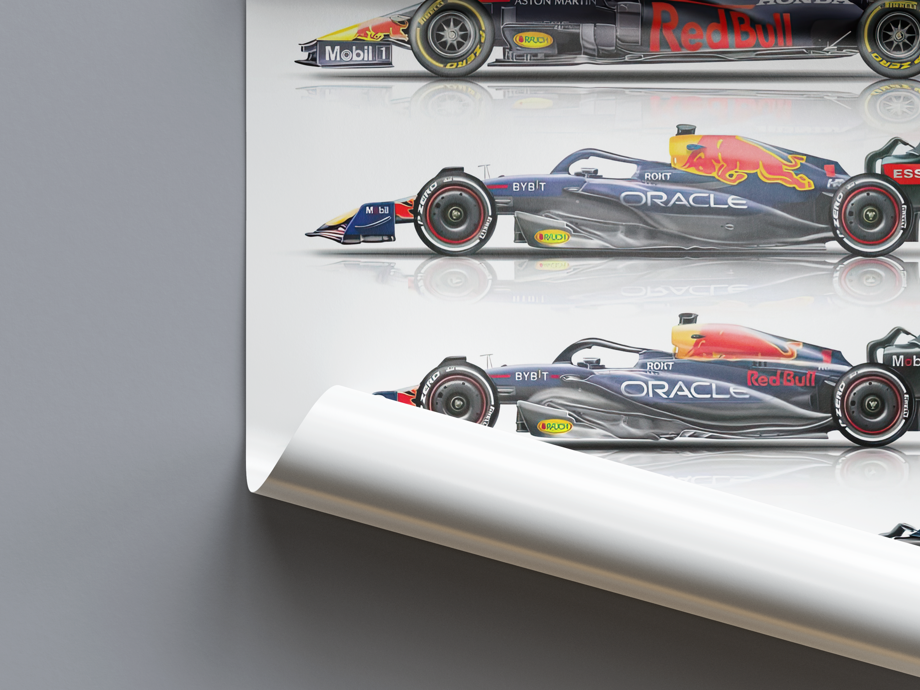 Max Verstappen World Championship Winning Cars F1